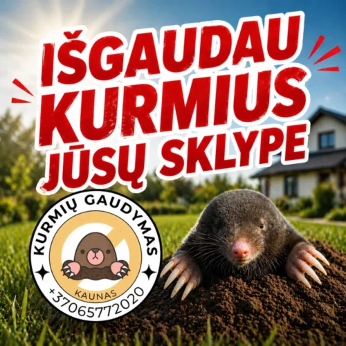 Kurmių gaudymas- naikinimas